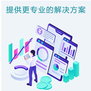 定制化服务